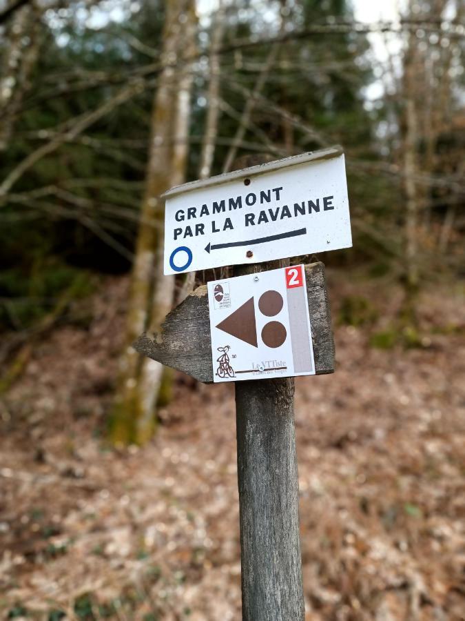 Gite De La Ravanne Ramonchamp Eksteriør bilde